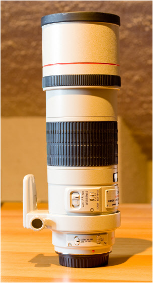 fotografia dell'obbiettivo Canon 300 F4 IS con il paraluce estratto